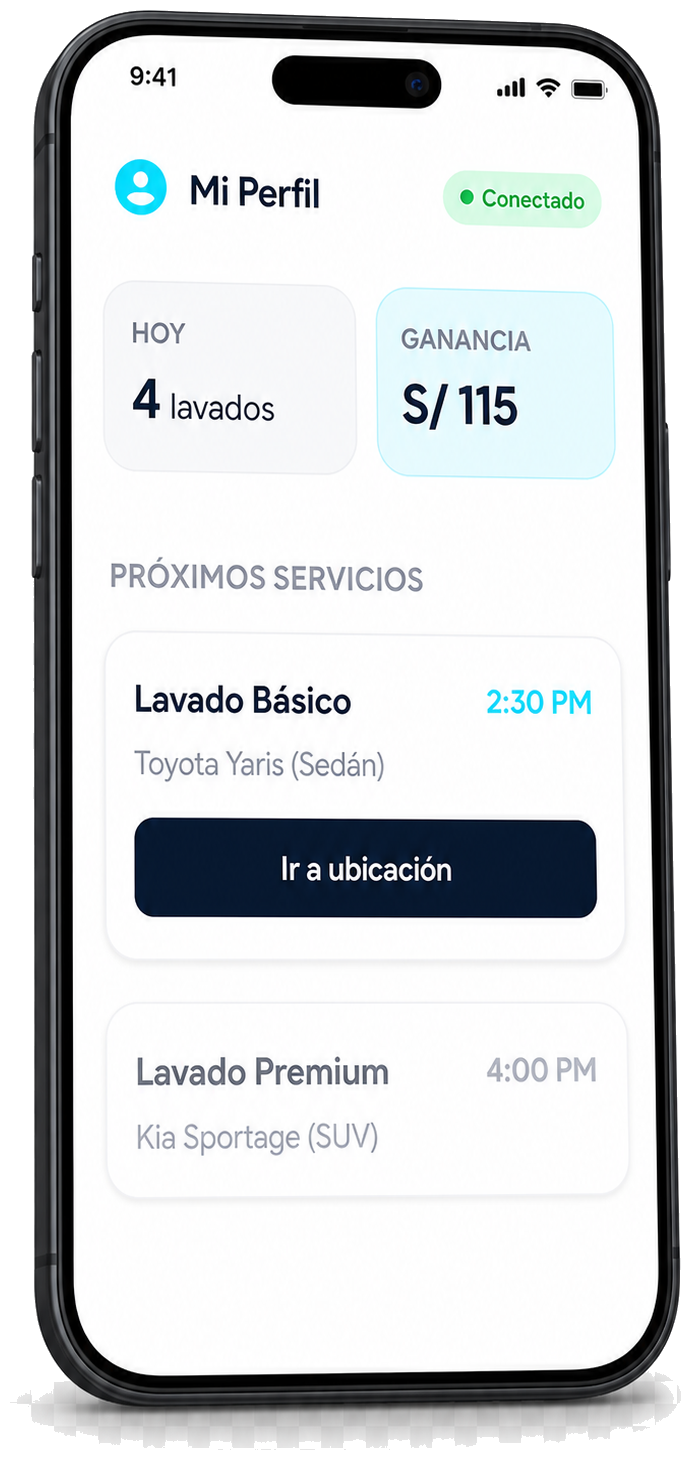 Panel del lavador ParkGO Partners con ganancias y próximos servicios
